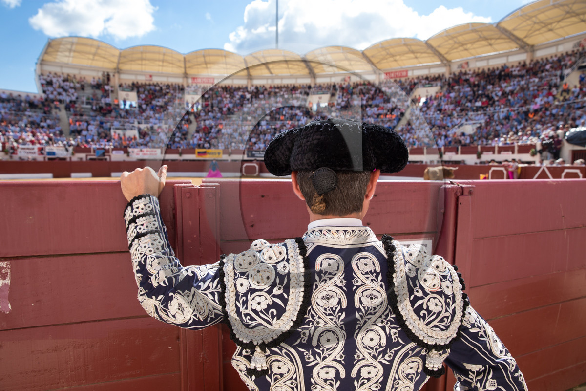 corrida, toro, vic fezensac, alcurrucen, michelito, morenito de aranda