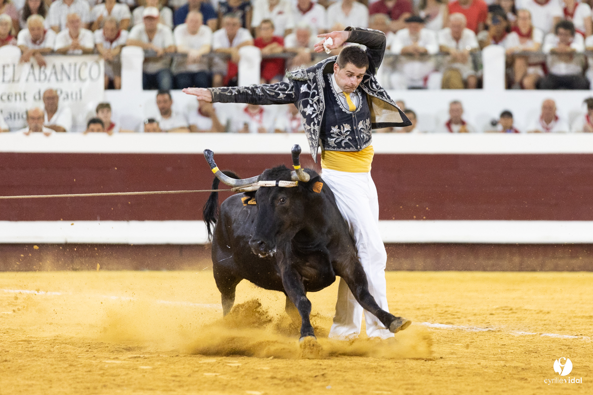 Dax concours landais 2022