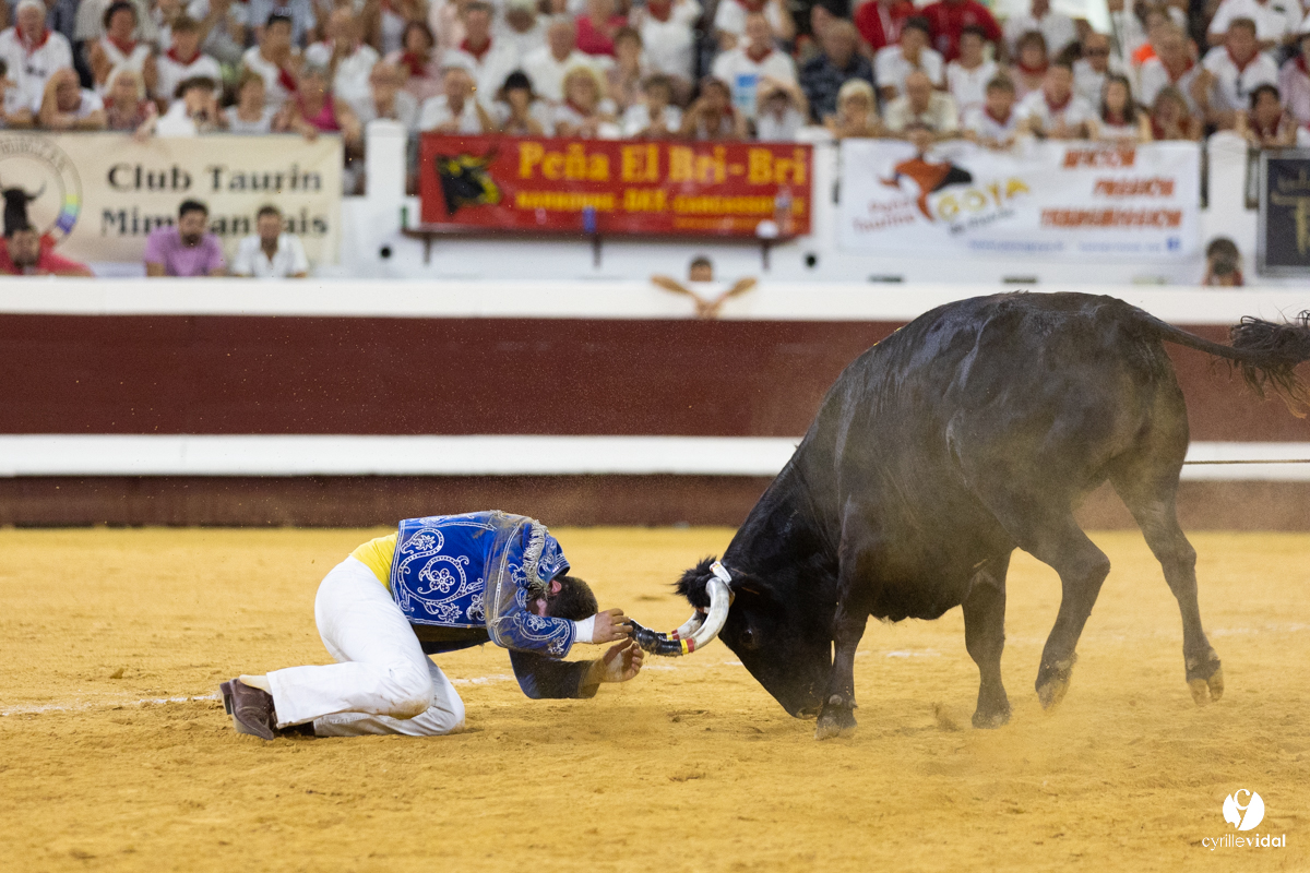 Dax concours landais 2022