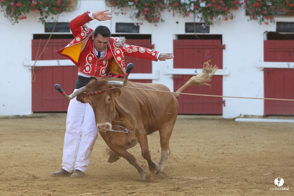 Nogaro Corne d'Or 2023