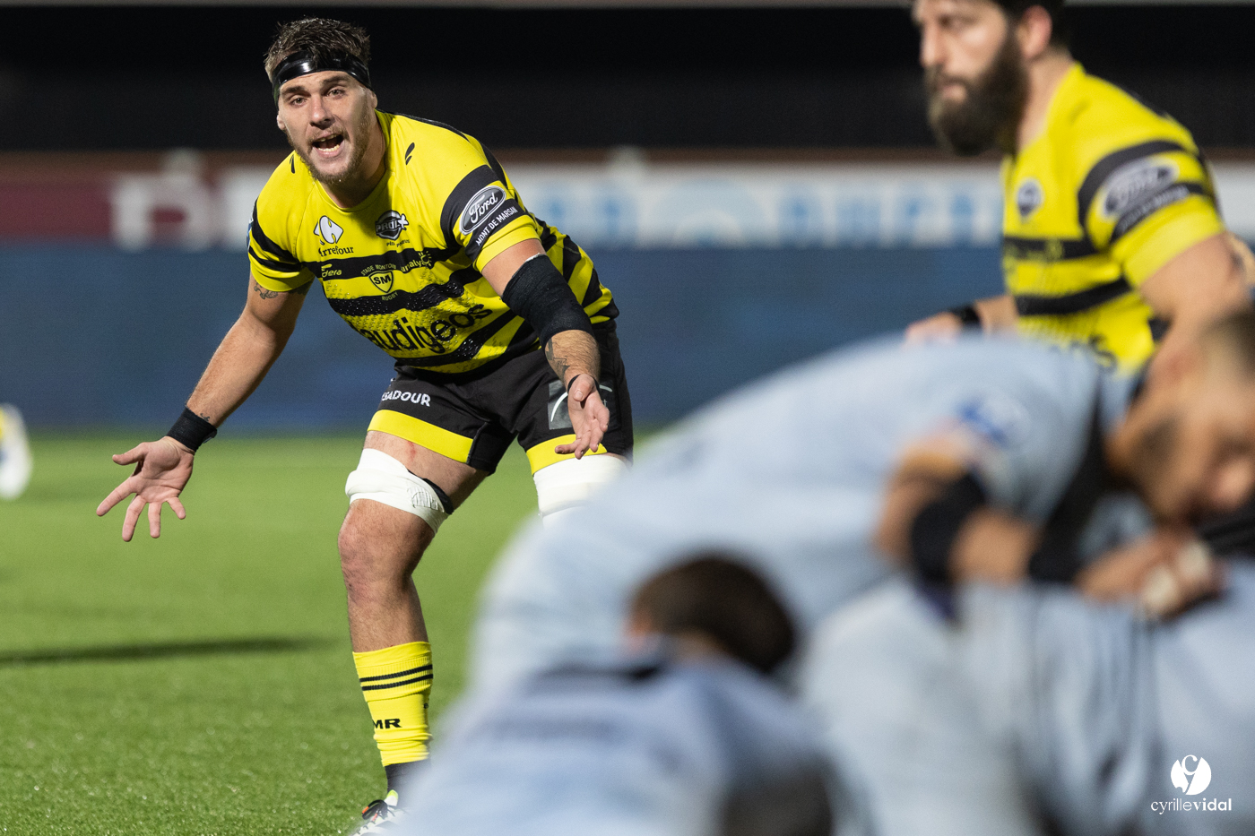 Stade Montois Rugby - Provence