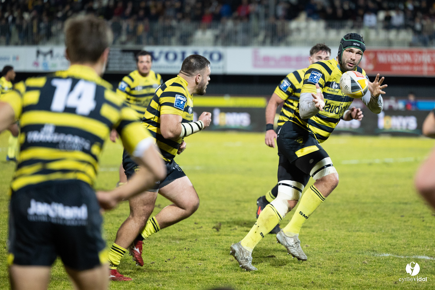 Stade Montois Rugby - Vannes