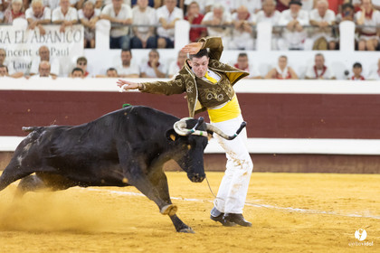 Dax concours landais 2022