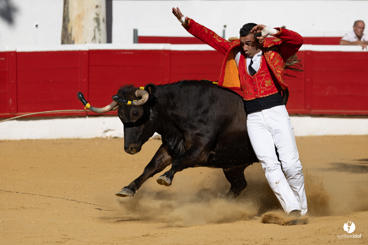 Nogaro Corne d'Or 2023