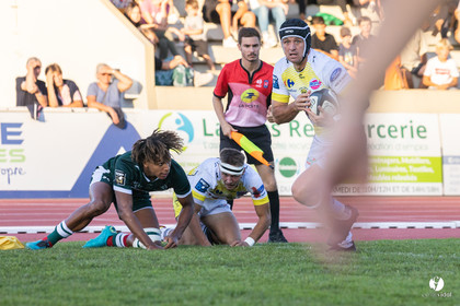 Stade Montois Rugby - Section Paloise
