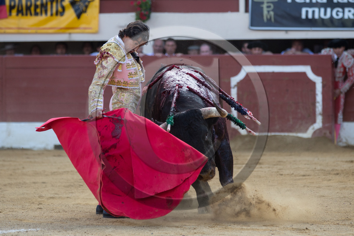 corrida, toro, vic fezensac, alcurrucen, michelito, morenito de aranda