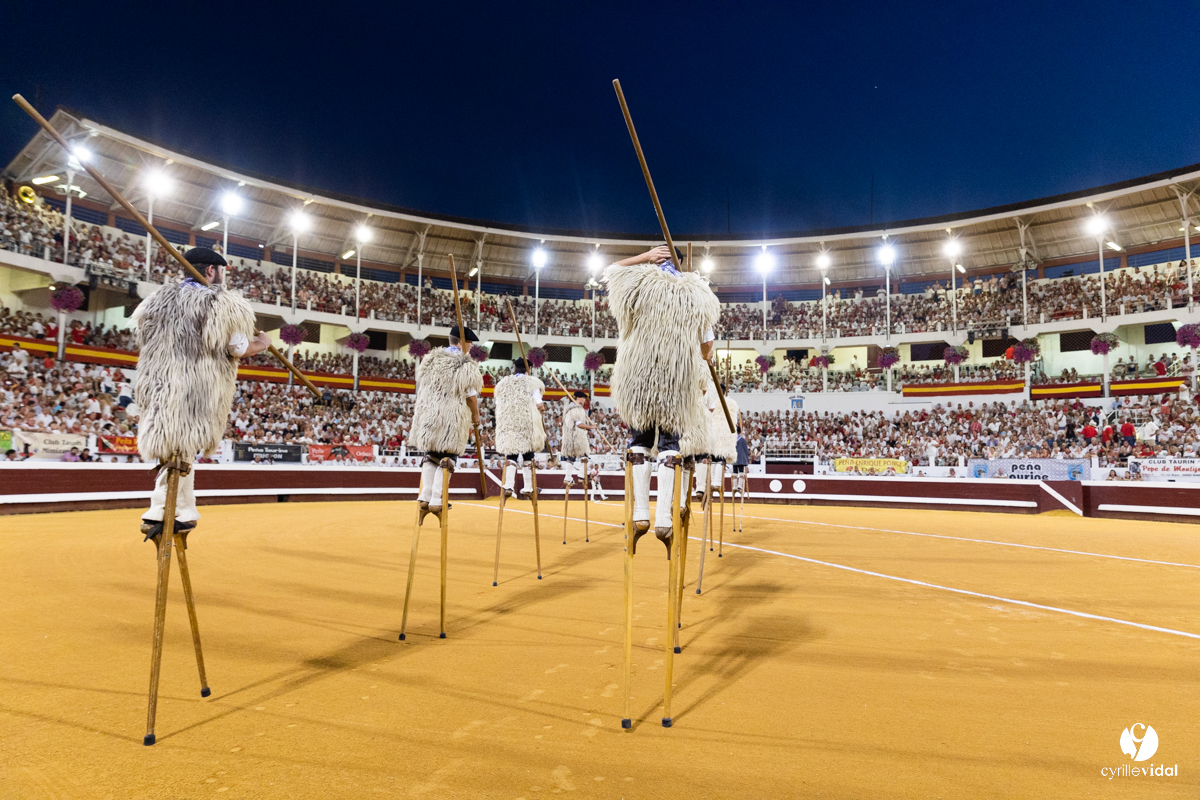 Dax concours landais 2022