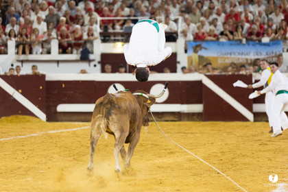 Dax concours landais 2022