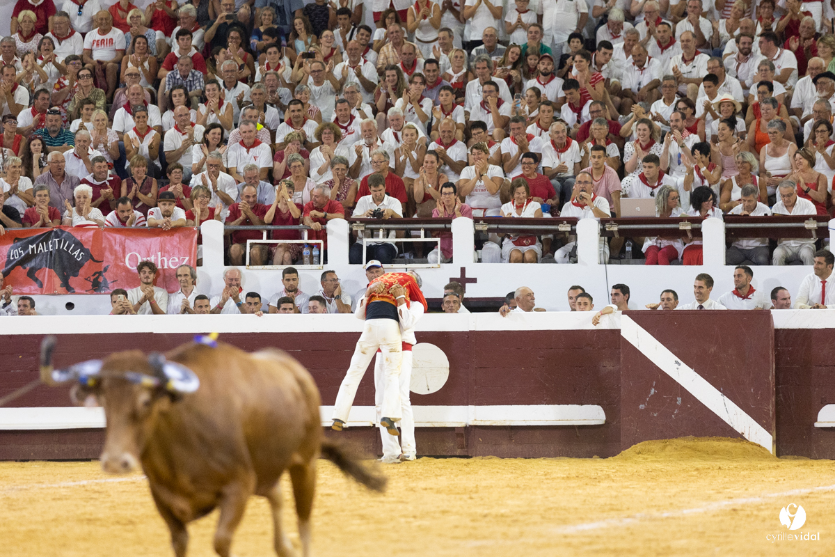 Dax concours landais 2022