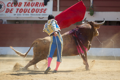 corrida, toro, vic fezensac, alcurrucen, michelito, morenito de aranda