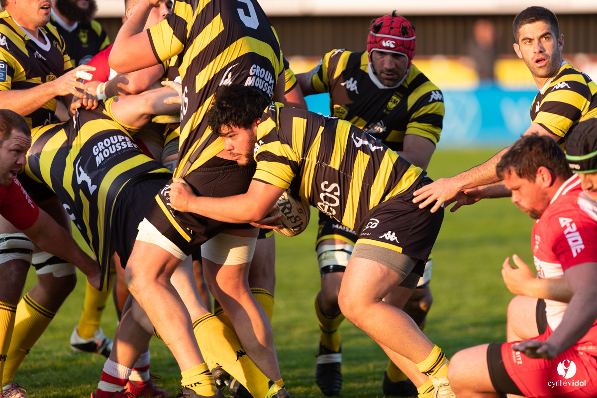Stade Montois Rugby - Biarritz