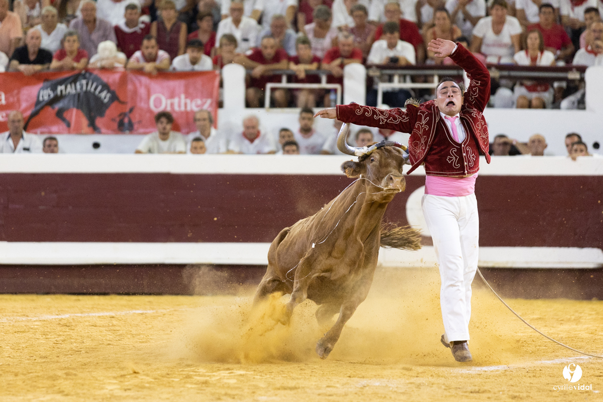 Dax concours landais 2022