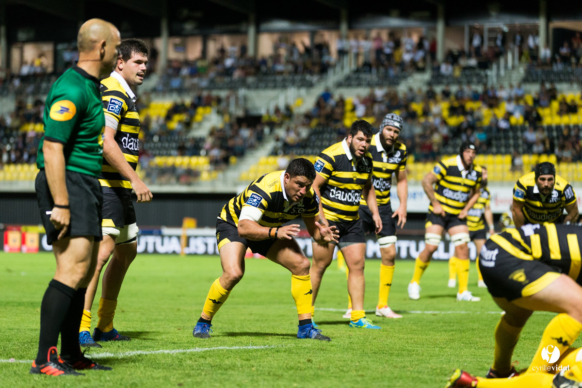 Rugby Stade Montois - Massy
