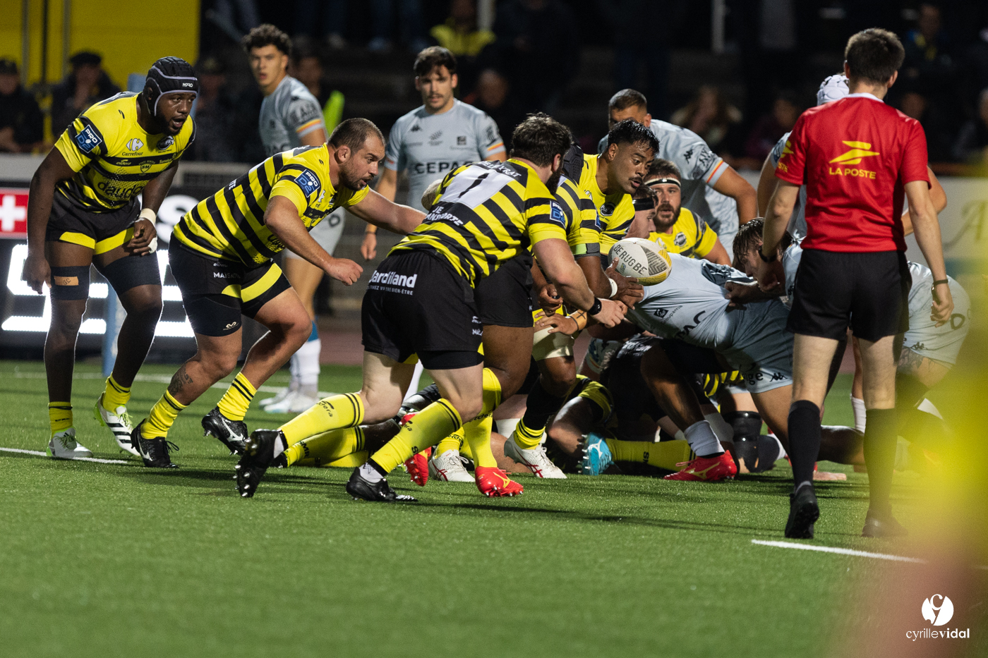 Stade Montois Rugby - Provence