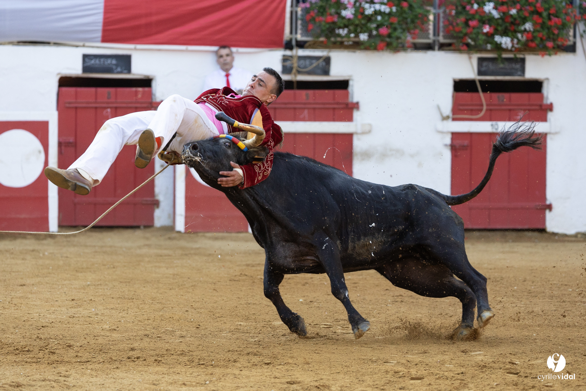 Nogaro Corne d'Or 2023