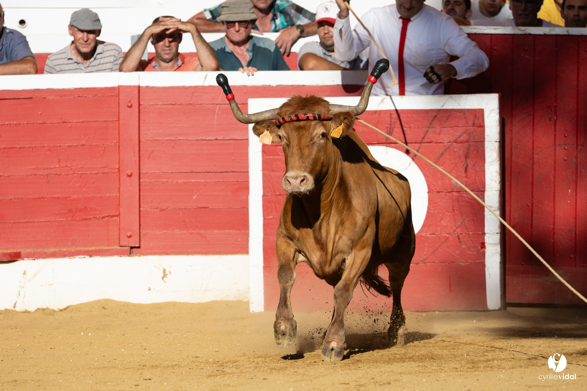 Nogaro Corne d'Or 2023