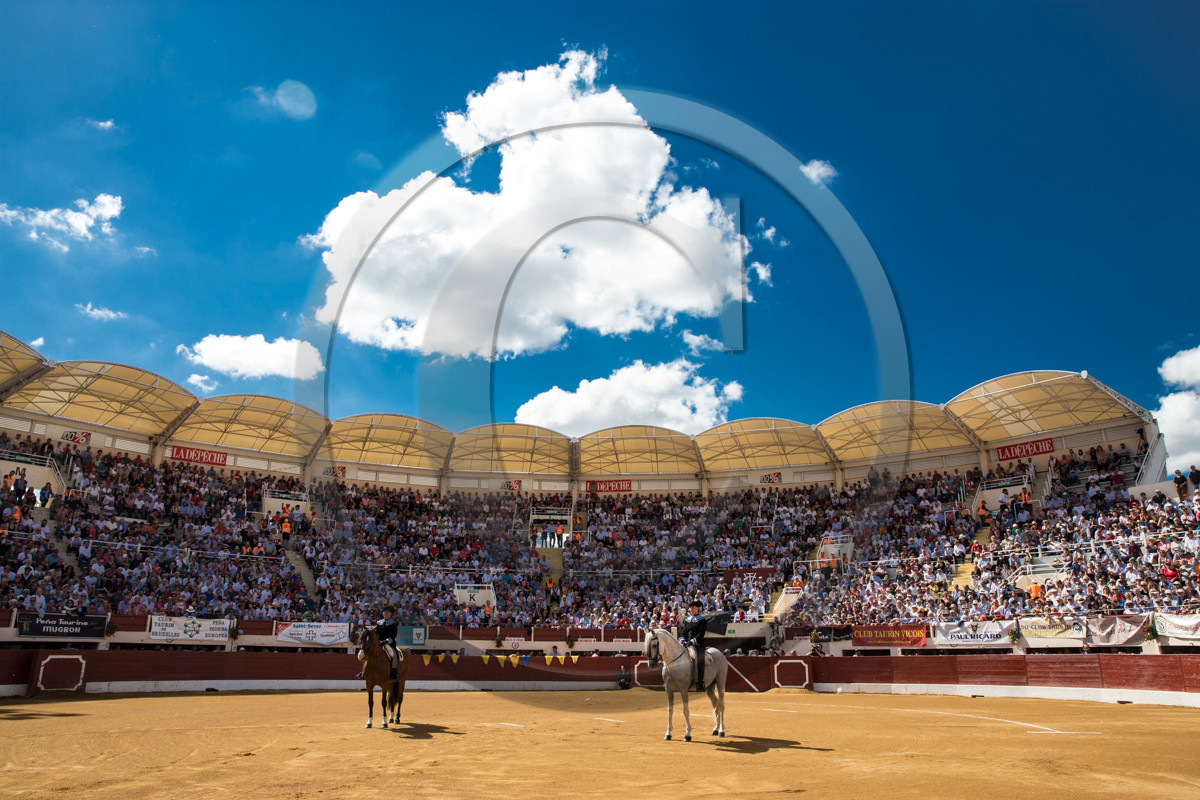 corrida, toro, vic fezensac, alcurrucen, michelito, morenito de aranda