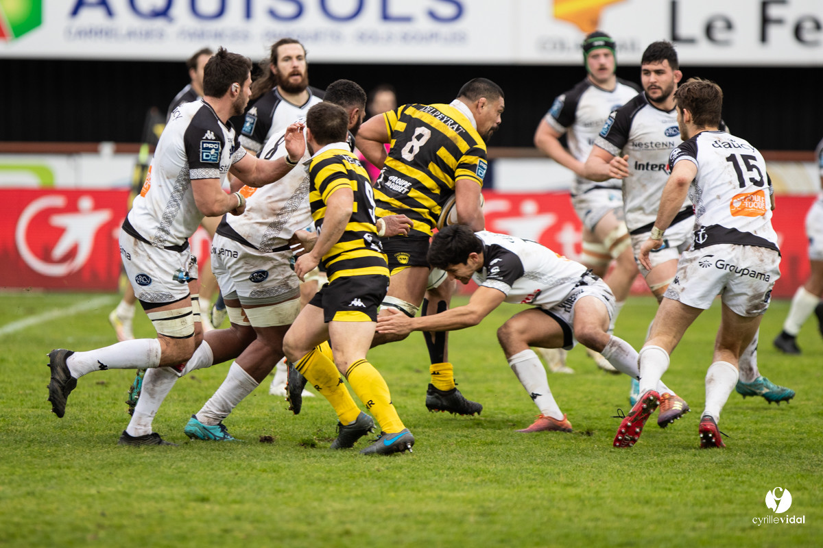 Stade Montois Rugby - Vannes