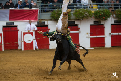 Nogaro Championnatde France de Course Landaise 2017