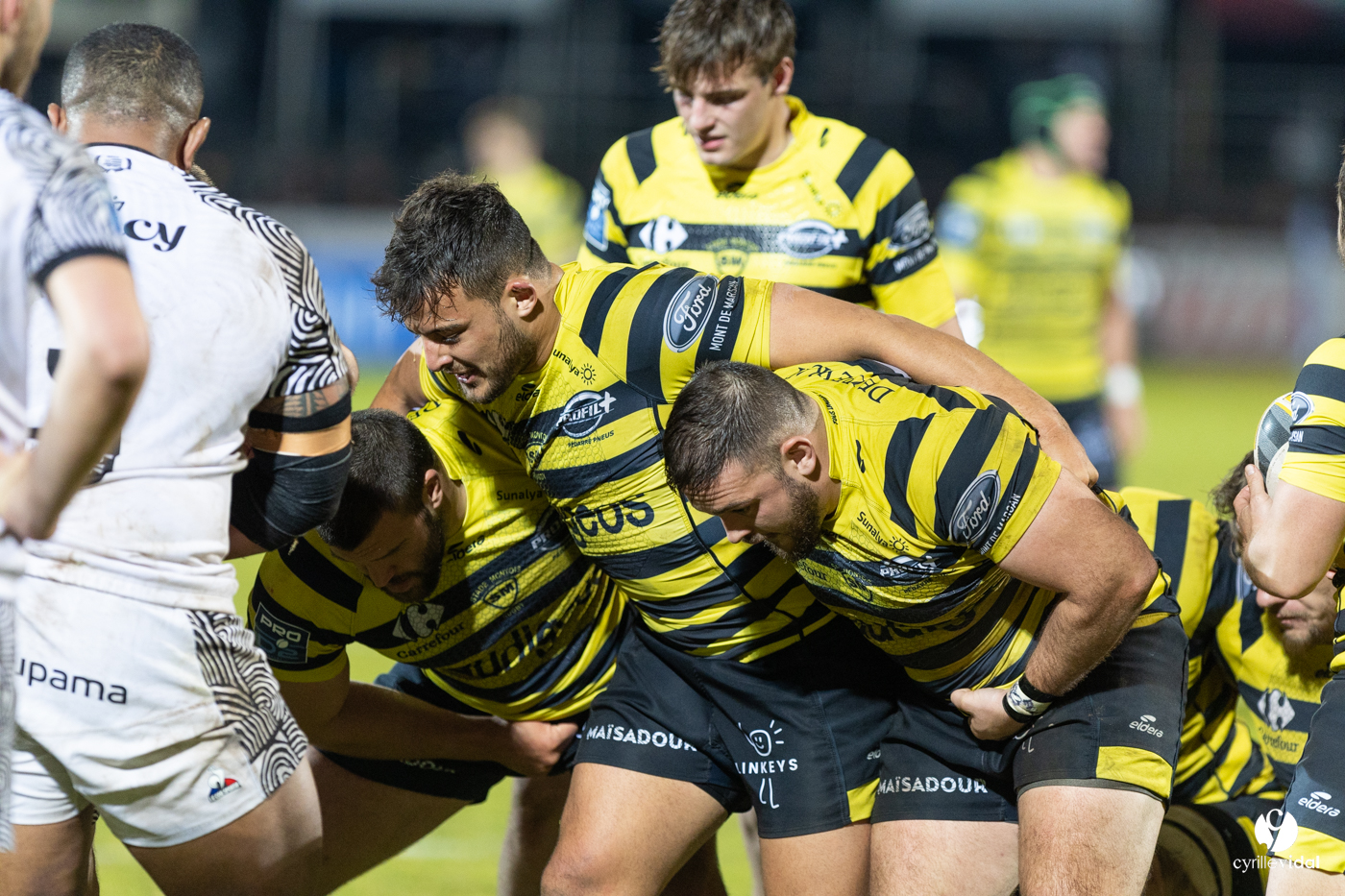 Stade Montois Rugby - Vannes