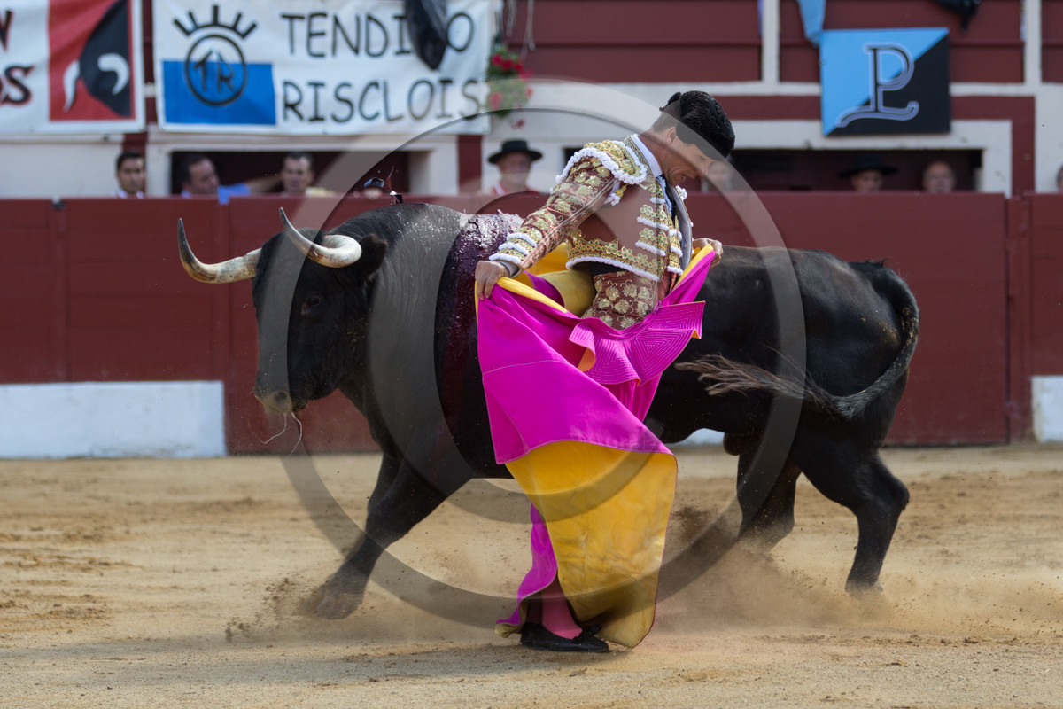 corrida, toro, vic fezensac, alcurrucen, michelito, morenito de aranda