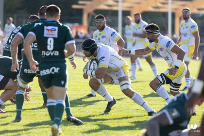 Stade Montois Rugby - Section Paloise