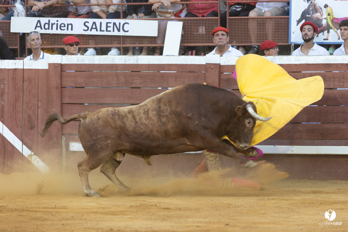 Corrida de Villeneuve-de-Marsan