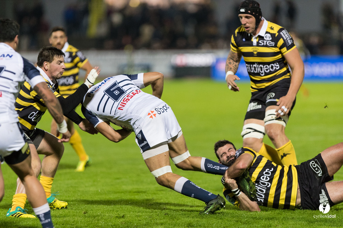 Stade Montois Rugby - Colomiers