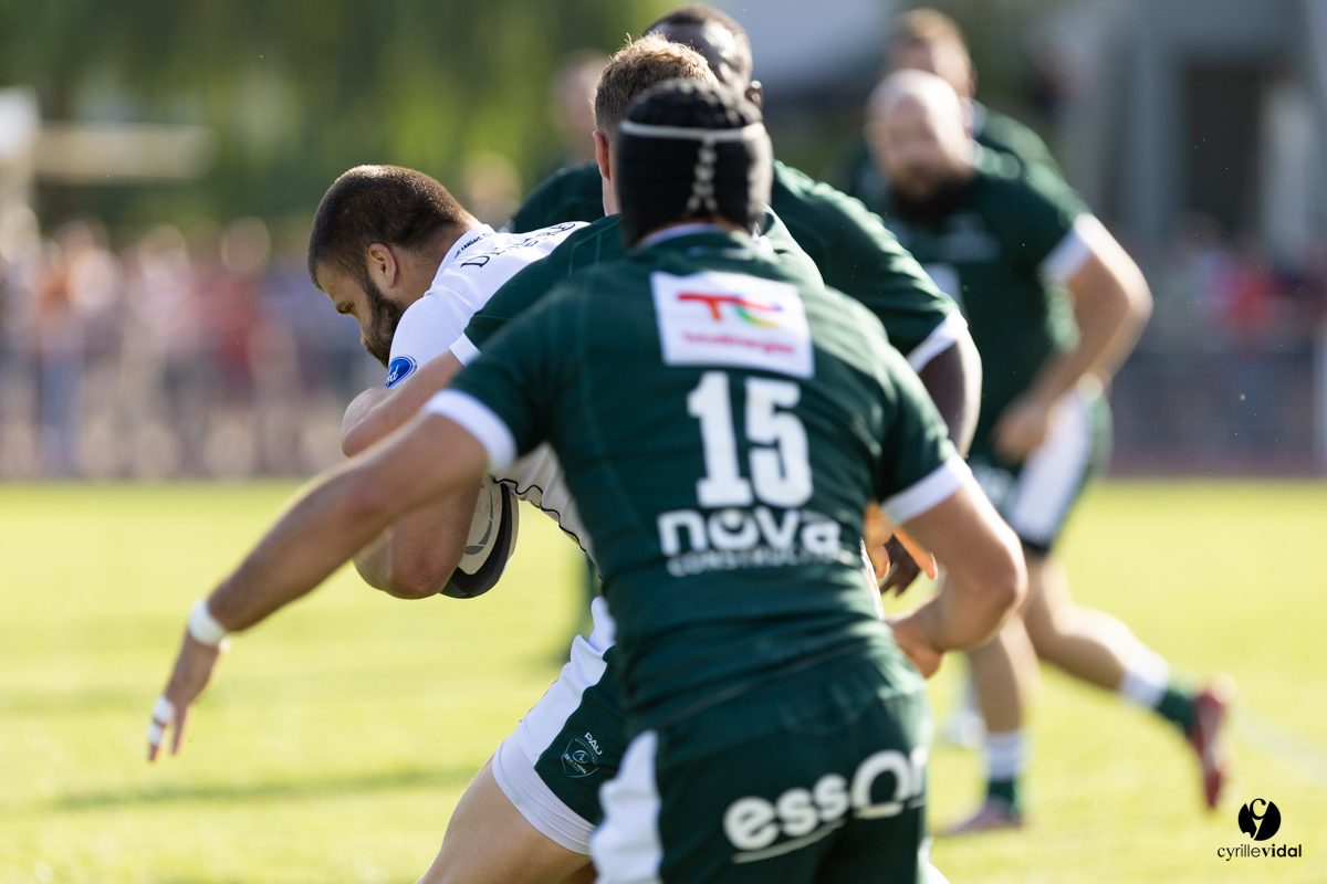 Stade Montois Rugby - Section Paloise