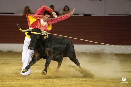 Landes émotions à Aire-sur-l'Adour