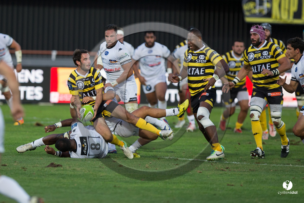 Rugby STADE MONTOIS - VANNES