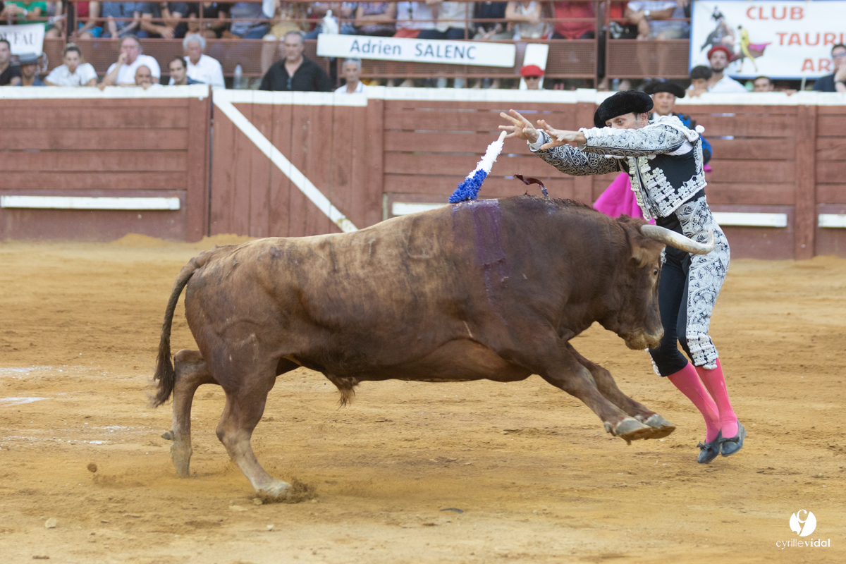 Corrida de Villeneuve-de-Marsan