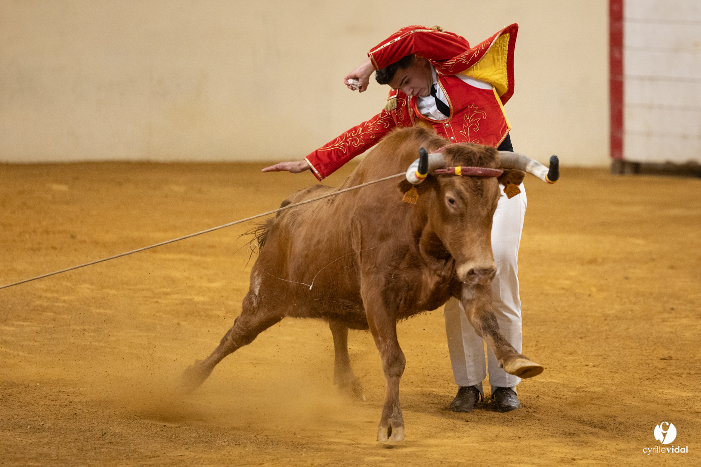 Horsarrieu course landaise du boléro d'Argent