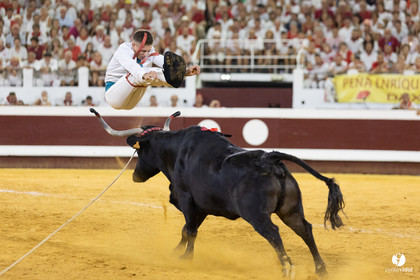 Dax concours landais 2022