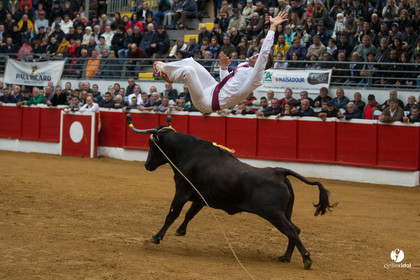 Nogaro Championnatde France de Course Landaise 2017