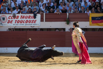 corrida, toro, vic fezensac, alcurrucen, michelito, morenito de aranda