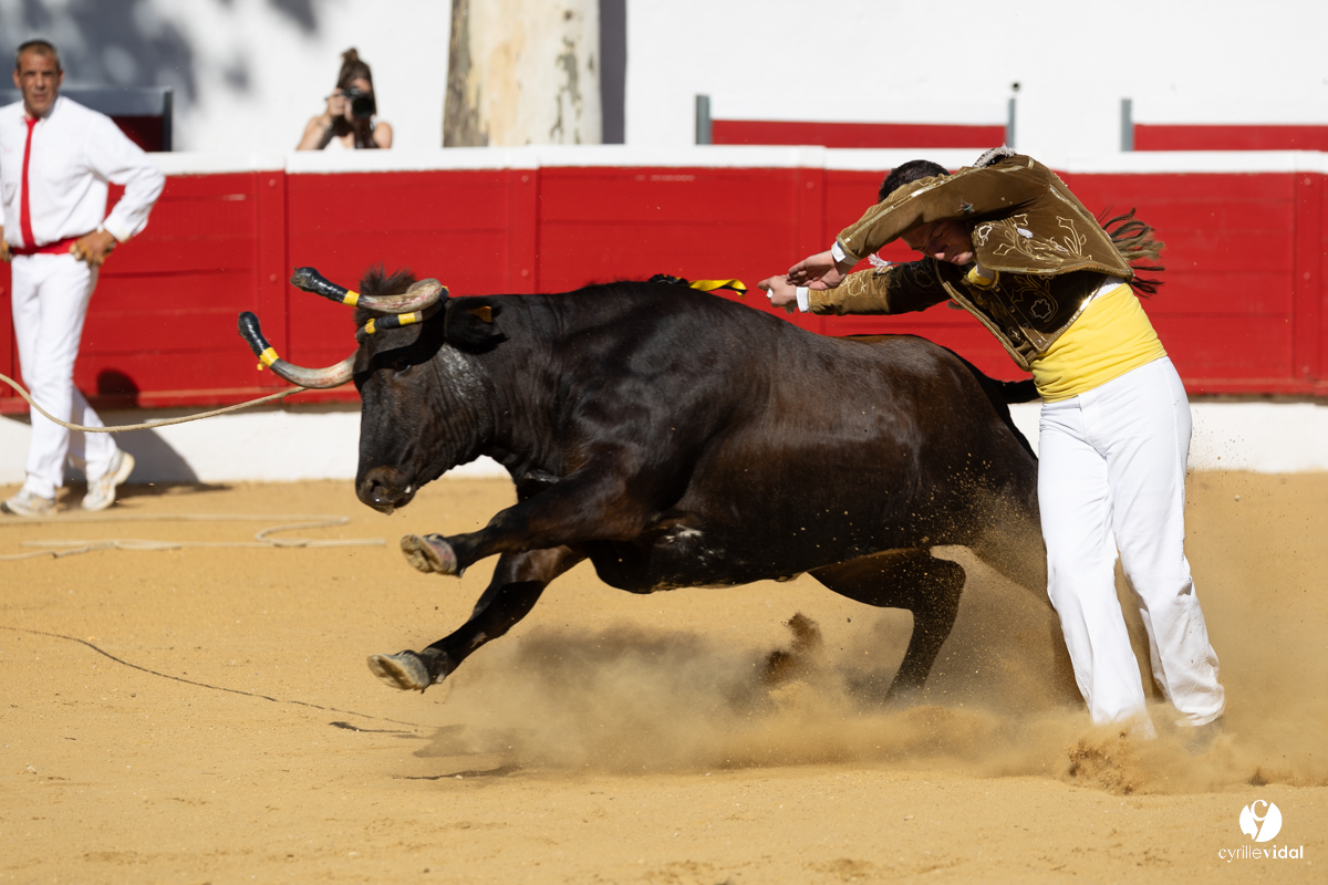 Nogaro Corne d'Or 2023