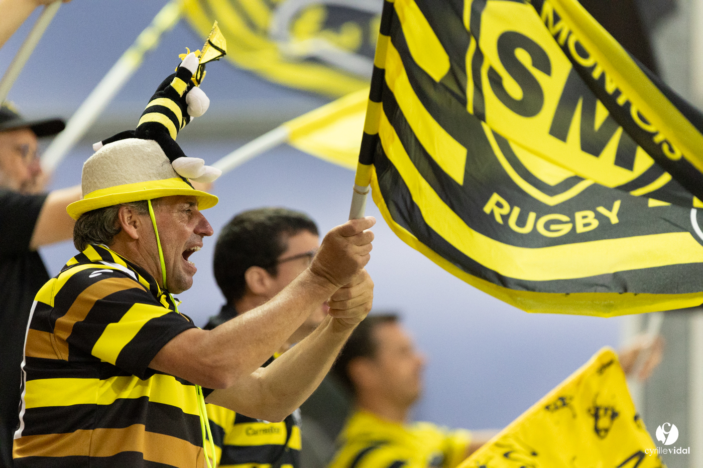 Biarritz - Stade Montois rugby pro