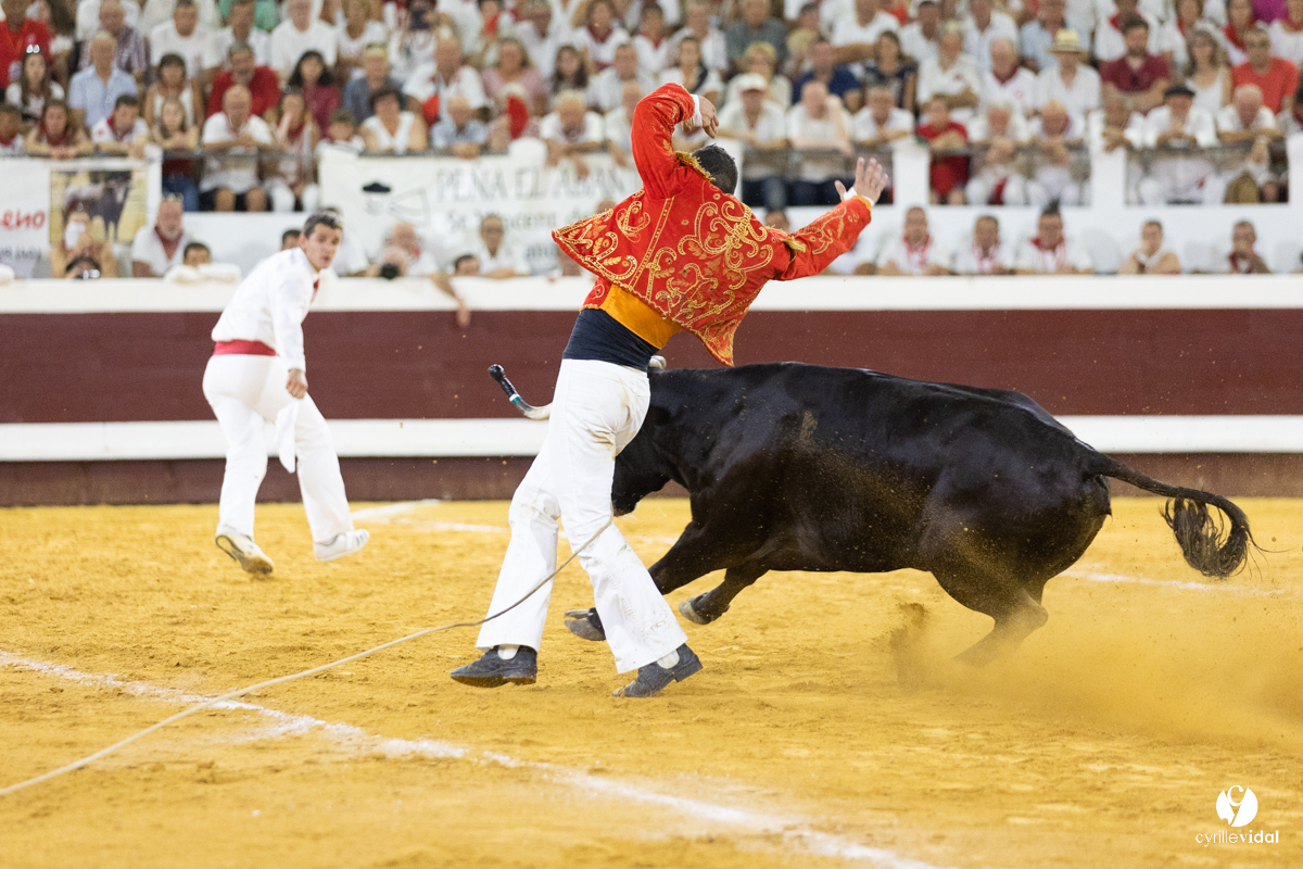 Dax concours landais 2022