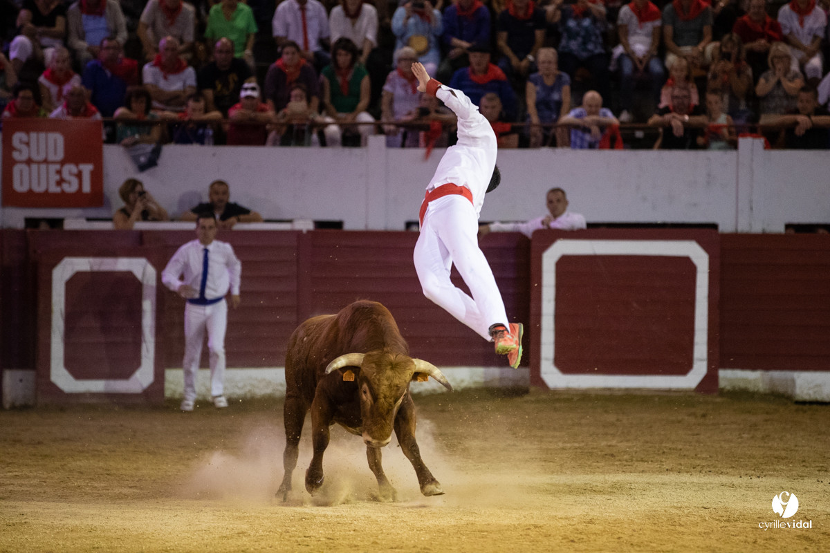 Landes émotions à Aire-sur-l'Adour
