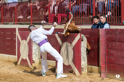Course landaise Le Houga Ganadéria Dussau Cuadrilla Alexandre Brethes