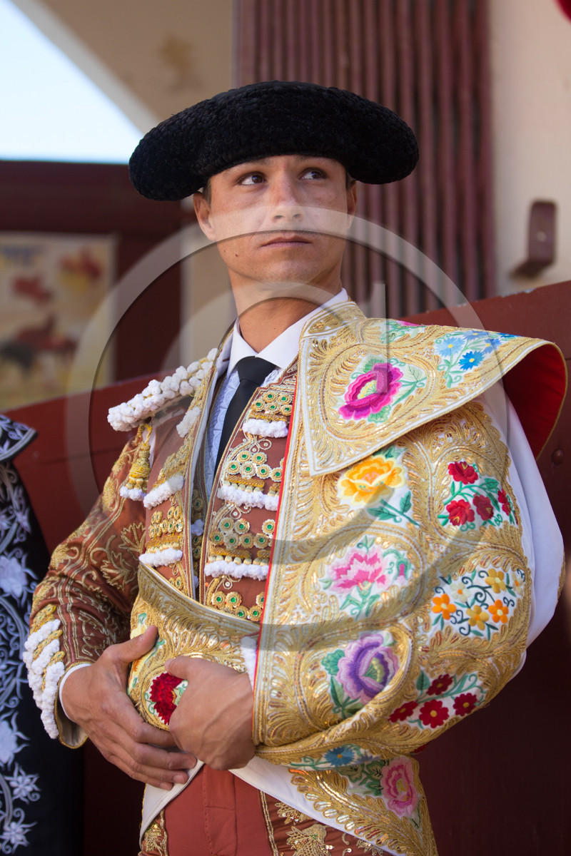 corrida, toro, vic fezensac, alcurrucen, michelito, morenito de aranda