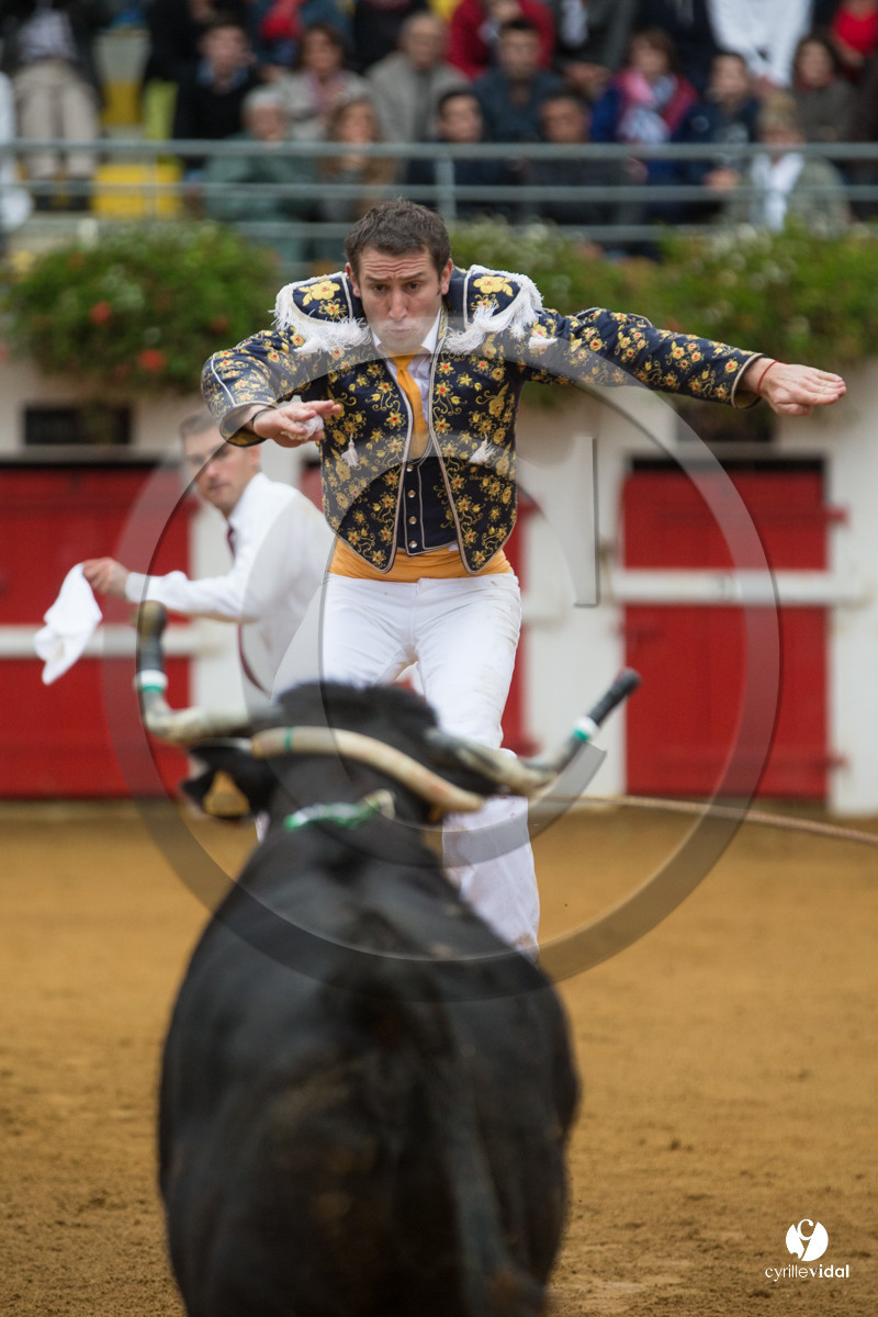 Nogaro Championnatde France de Course Landaise 2017