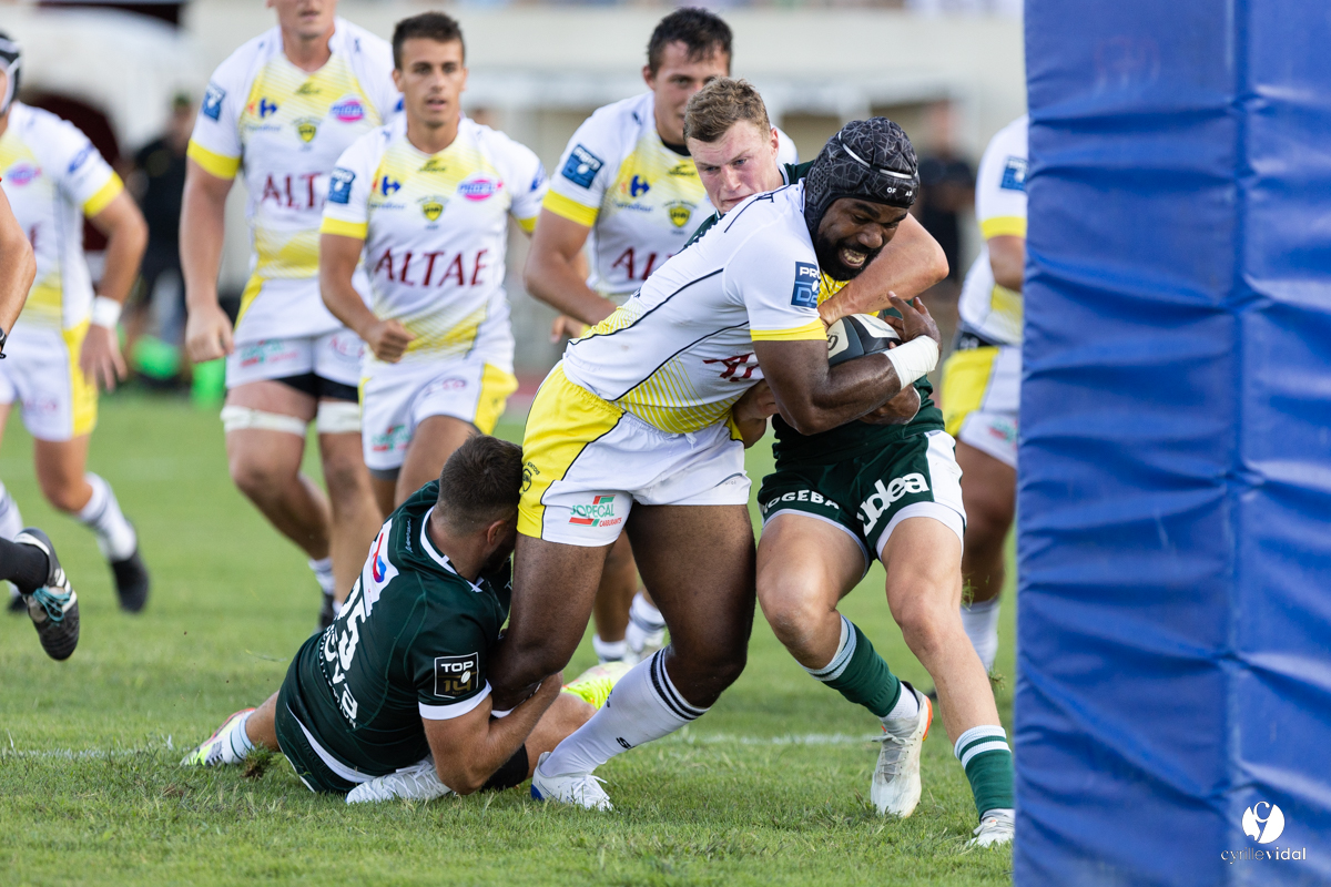 Stade Montois Rugby - Section Paloise