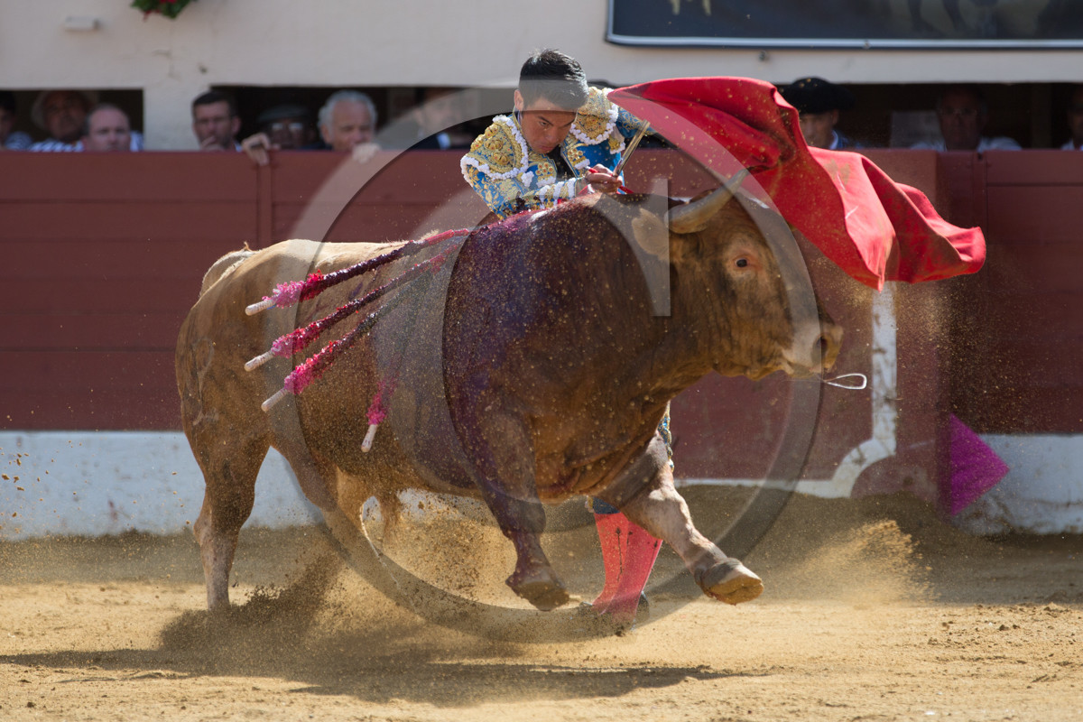 corrida, toro, vic fezensac, alcurrucen, michelito, morenito de aranda