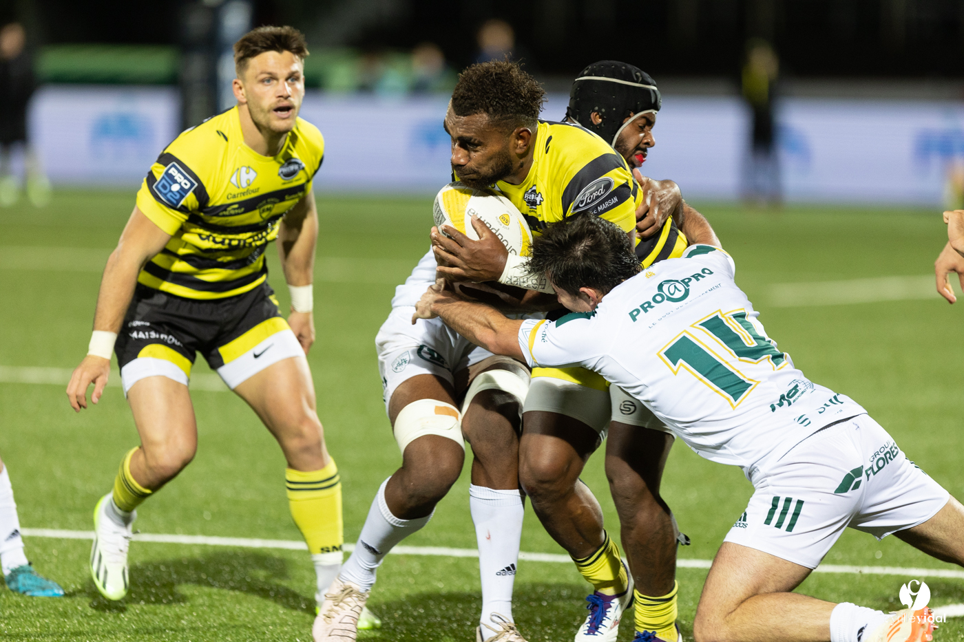 Stade Montois Rugby - Montauban