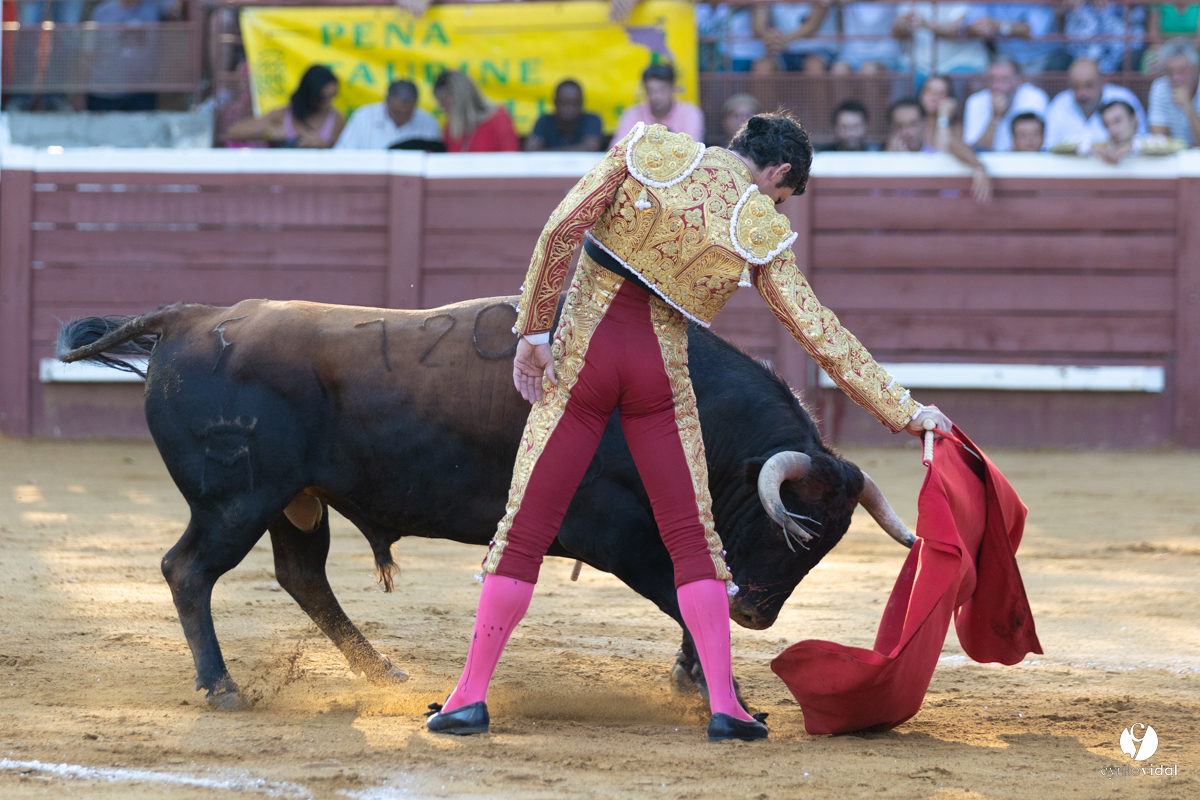 Corrida de Villeneuve-de-Marsan