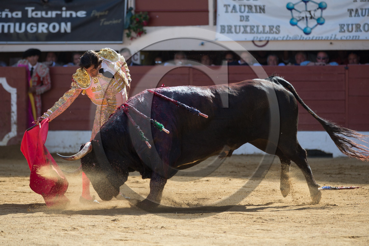 corrida, toro, vic fezensac, alcurrucen, michelito, morenito de aranda