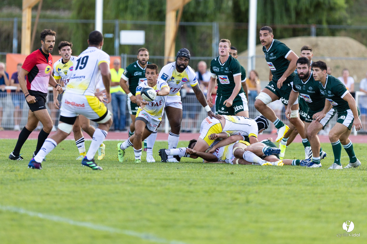 Stade Montois Rugby - Section Paloise