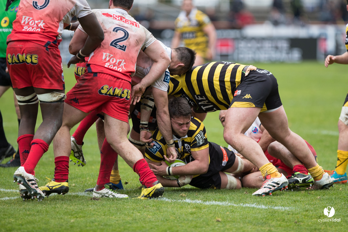 Stade Montois Rugby - Grenoble